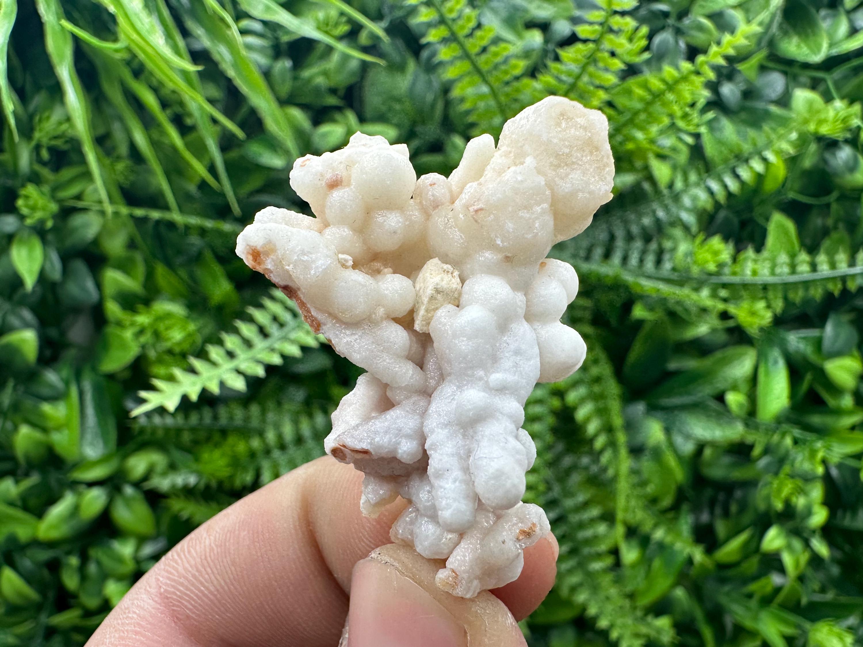Aragonite Cluster, Bulgarian Mineral Specimen, Home Decor Stone