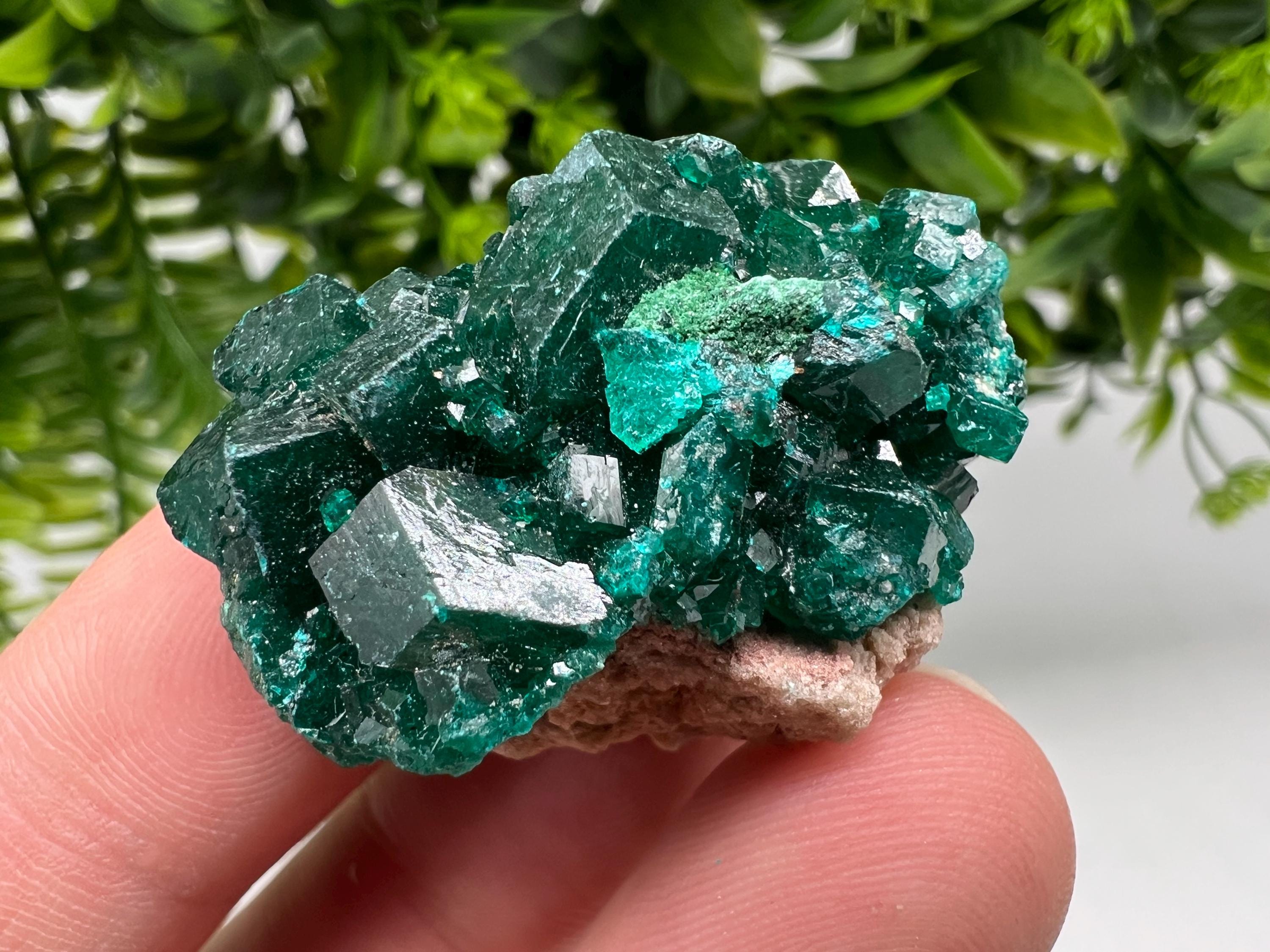 Green Dioptase Crystal Cluster, Sanda Hills Congo