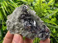 Galena Sphalerite on Quartz, Borieva Mine Mineral Specimen