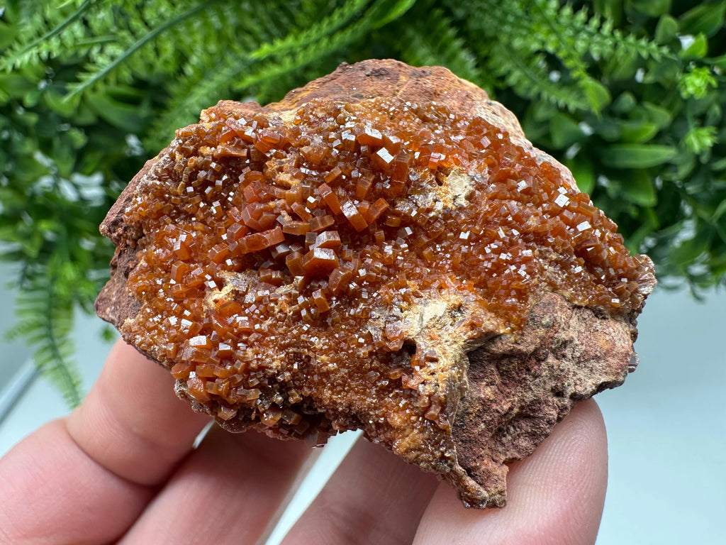 Red Vanadinite on Matrix from Marocco,crystal minerals Speciment cluster Vanadinite crystal Vanadinite Geology Vanadinite cluster minerals