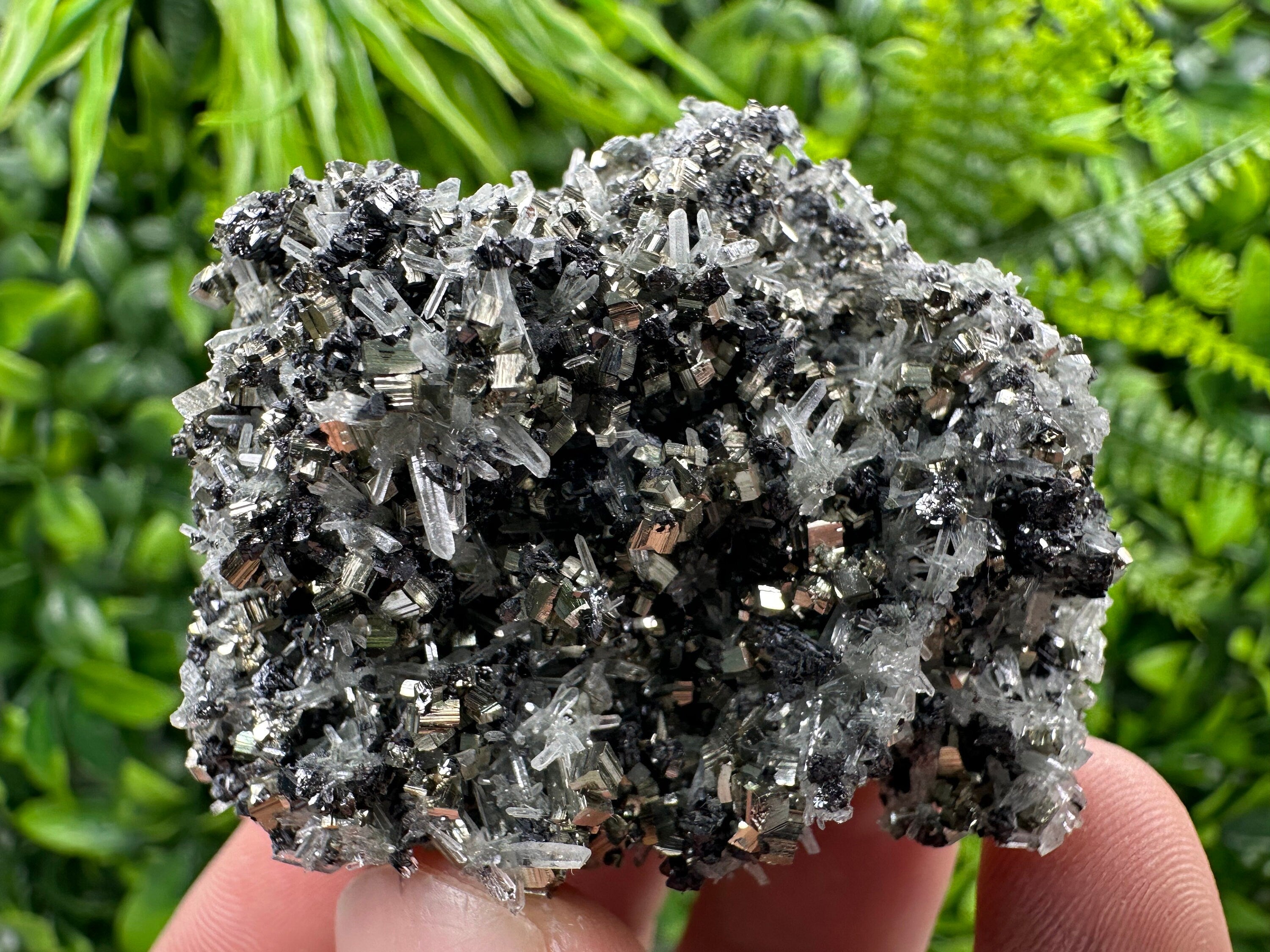 Pyrite on Quartz Needles, Borieva Mine Bulgaria, Mineral Specimen