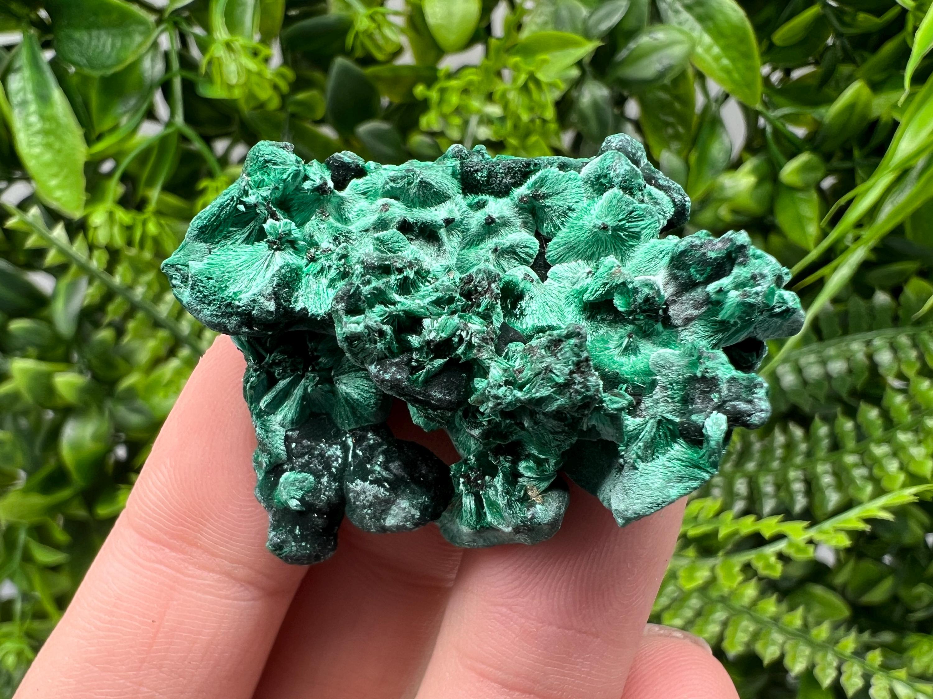 Malachite Crystal from Congo,Minerals,Crystals from Congo,Green Malachite, Malachite,Natural Malachite,Malachite Stone,Chakra, Specimens