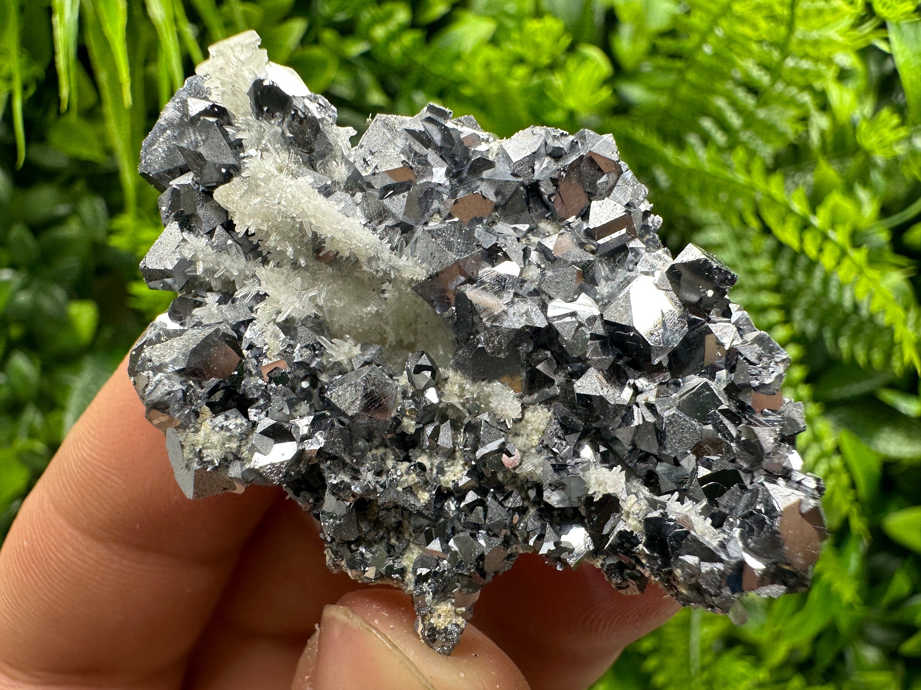 Skeletal Galena on Quartz: Natural Mineral Specimen, Borieva Mine