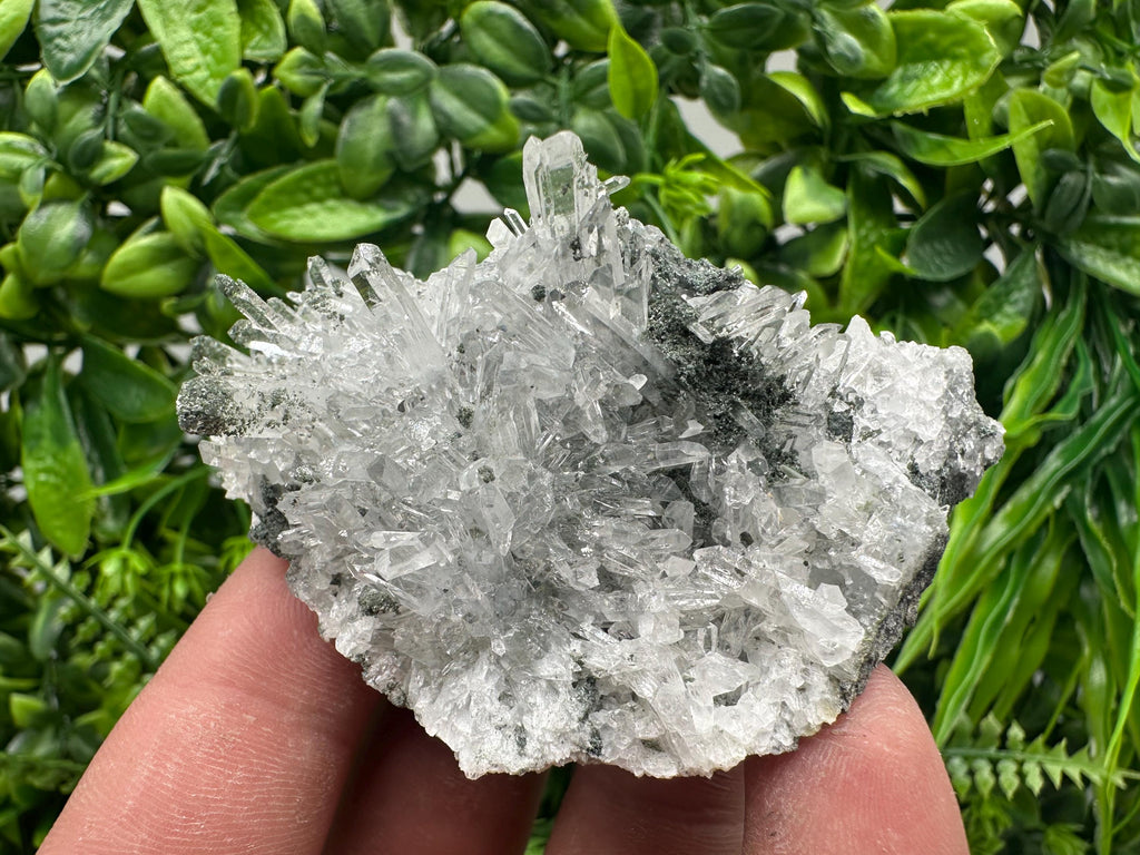 Transparent Quartz on Chlorite Matrix - Borieva Mine, Bulgaria