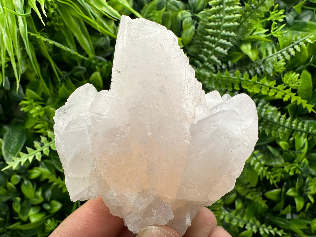 UV Reactive Mangano Calcite Crystal: Androvo Mine, Bulgaria