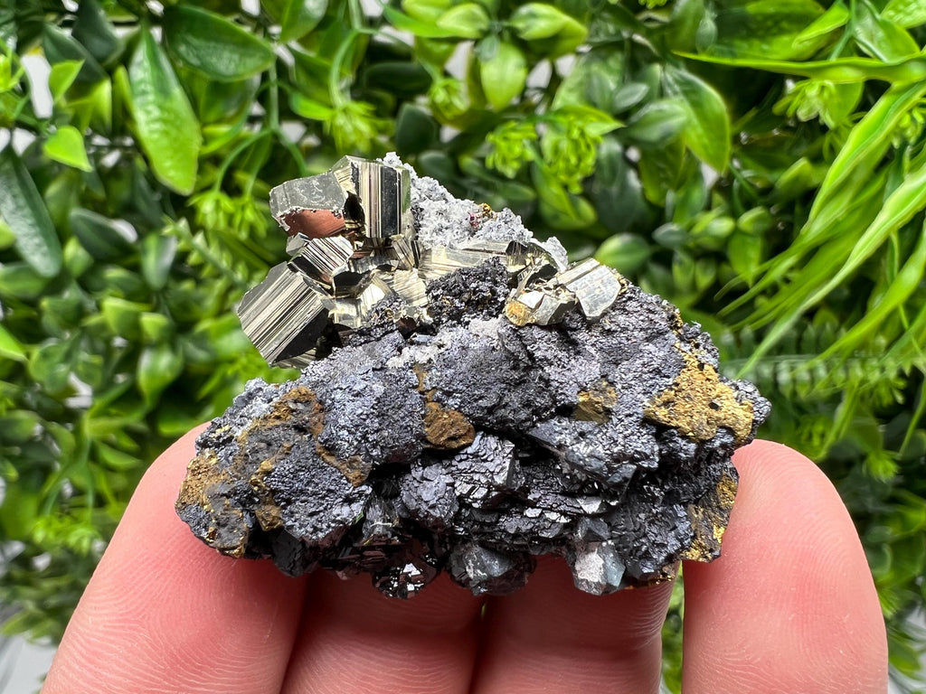 Golden Pyrite Sphalerite Cluster, Madan Bulgaria Mineral Specimen