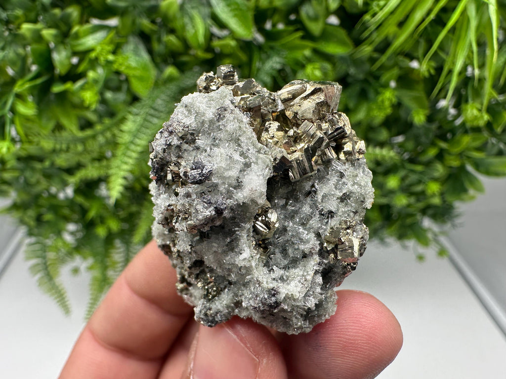 Pyrite on Green Quartz Mineral Specimen, Borieva Mine Bulgaria