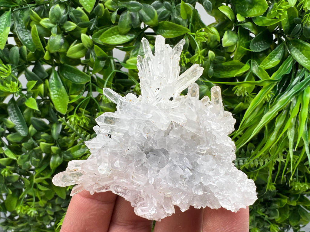 Transparent Quartz on Chlorite Matrix, Bulgaria Mineral Specimen