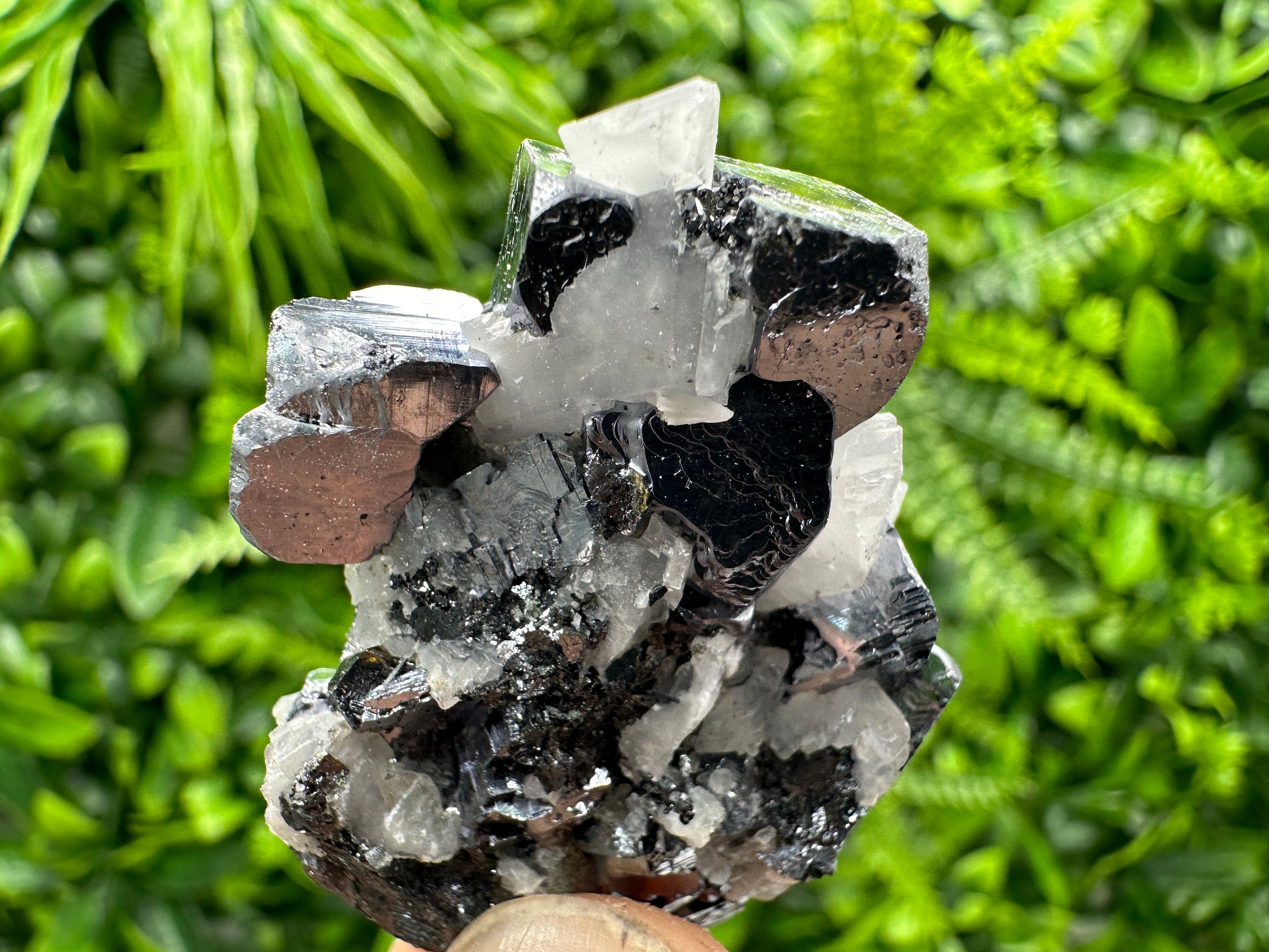 Galena with Calcite Crystal: Borieva Mine, Bulgaria