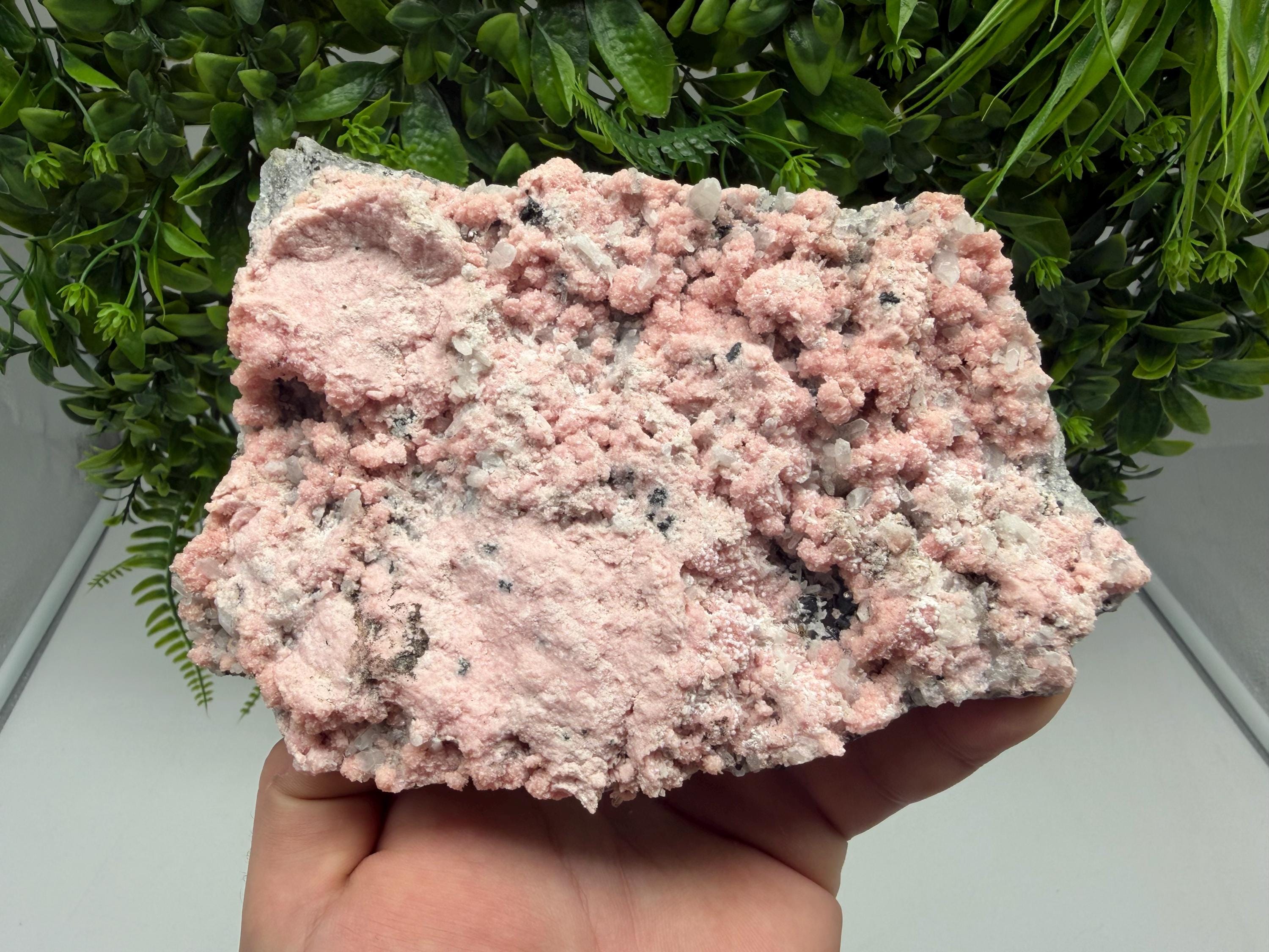 Pink Rhodochrosite Crystal, Starnica Mine, Bulgaria, Mineral Decor