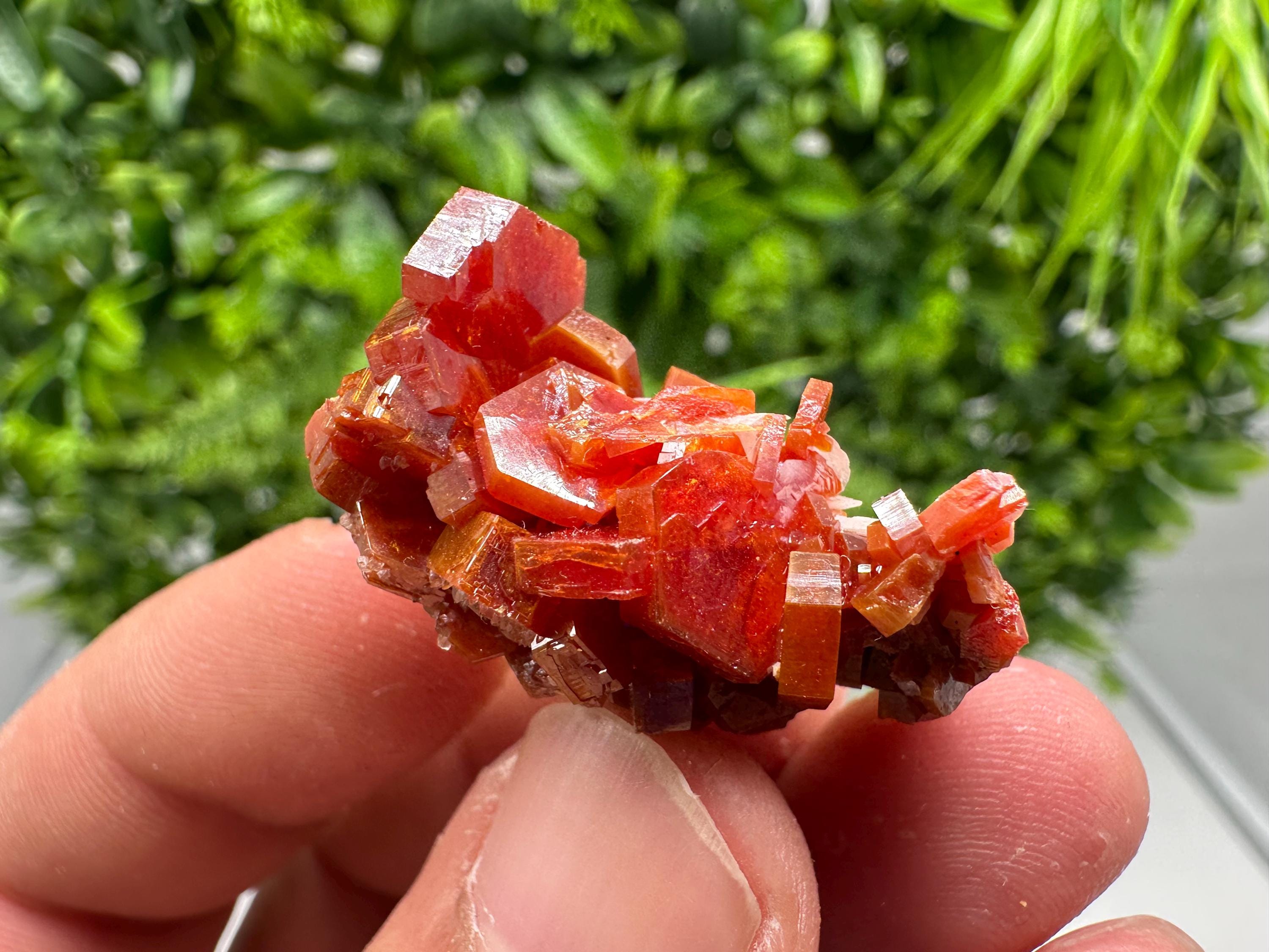 Red Vanadinite on Barite from Marocco,crystal minerals Speciment cluster Vanadinite crystal Vanadinite Geology Vanadinite cluster minerals