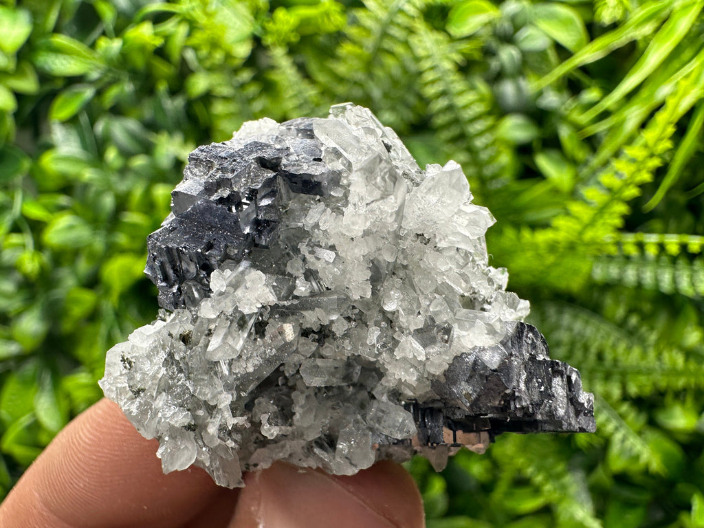 Galena on Quartz with Calcite: Natural Mineral Souvenir