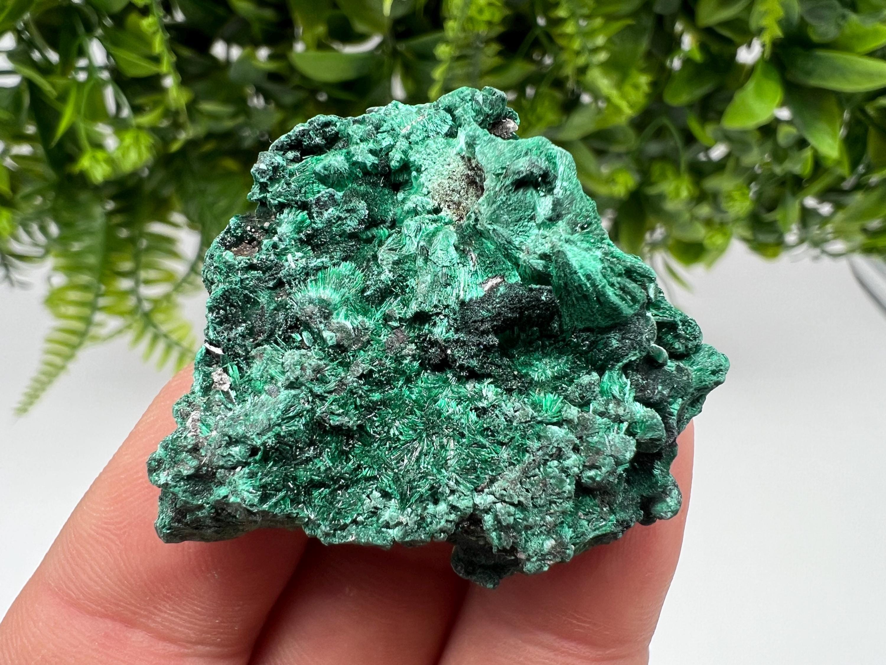Malachite Crystal from Congo,Minerals,Crystals from Congo,Green Malachite, Malachite,Natural Malachite,Malachite Stone,Chakra, Specimens
