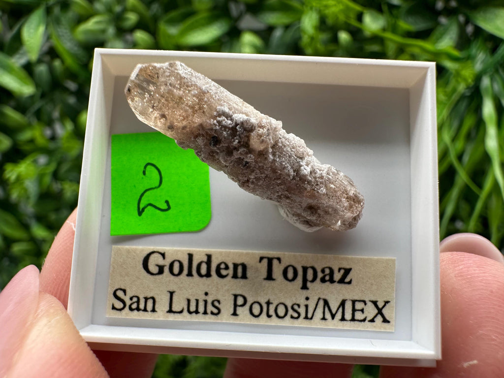 Golden Topaz Crystal, Mineral Specimen from Mexico