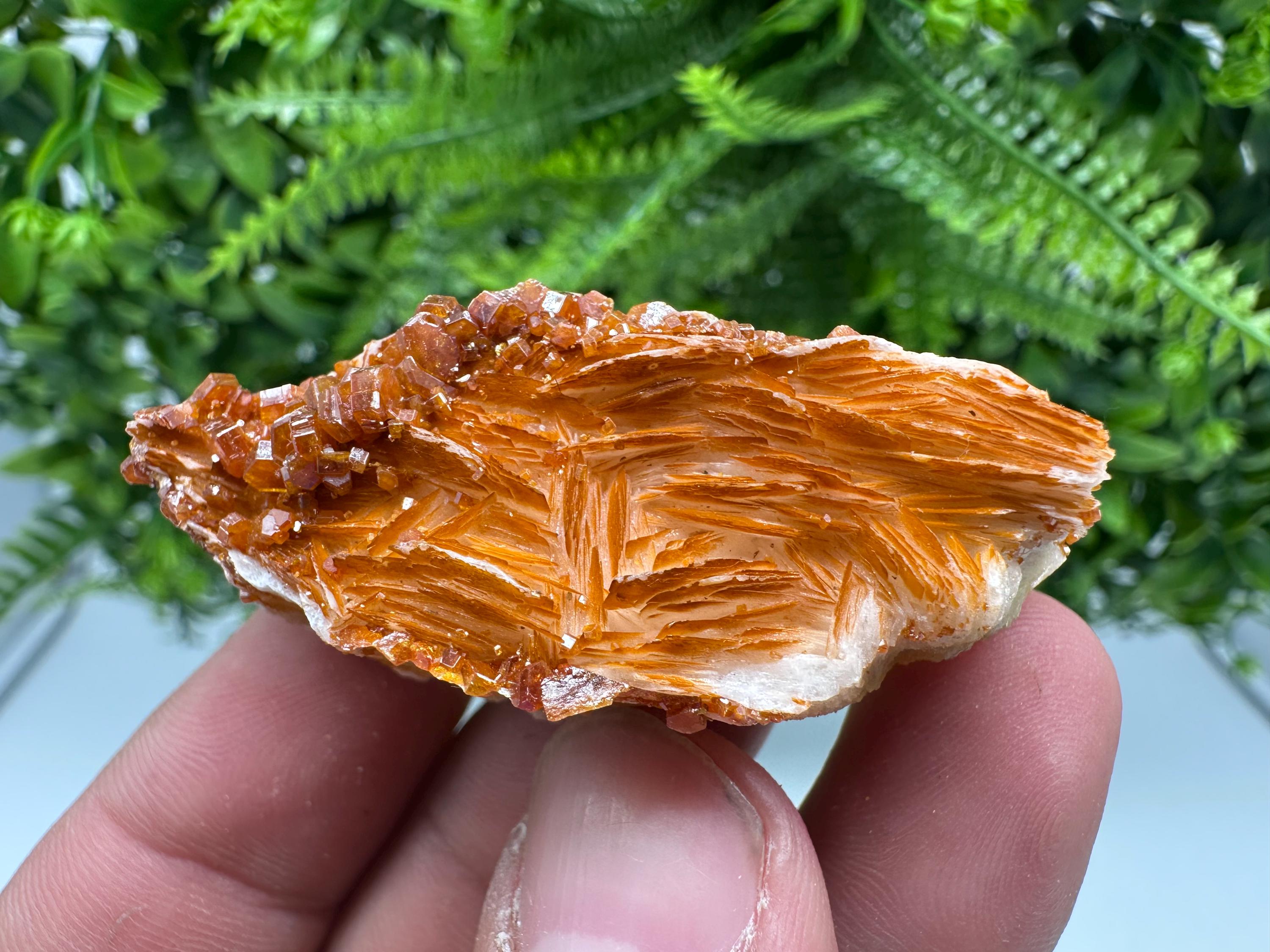 Red Vanadinite on Barite, Morocco Crystal Cluster