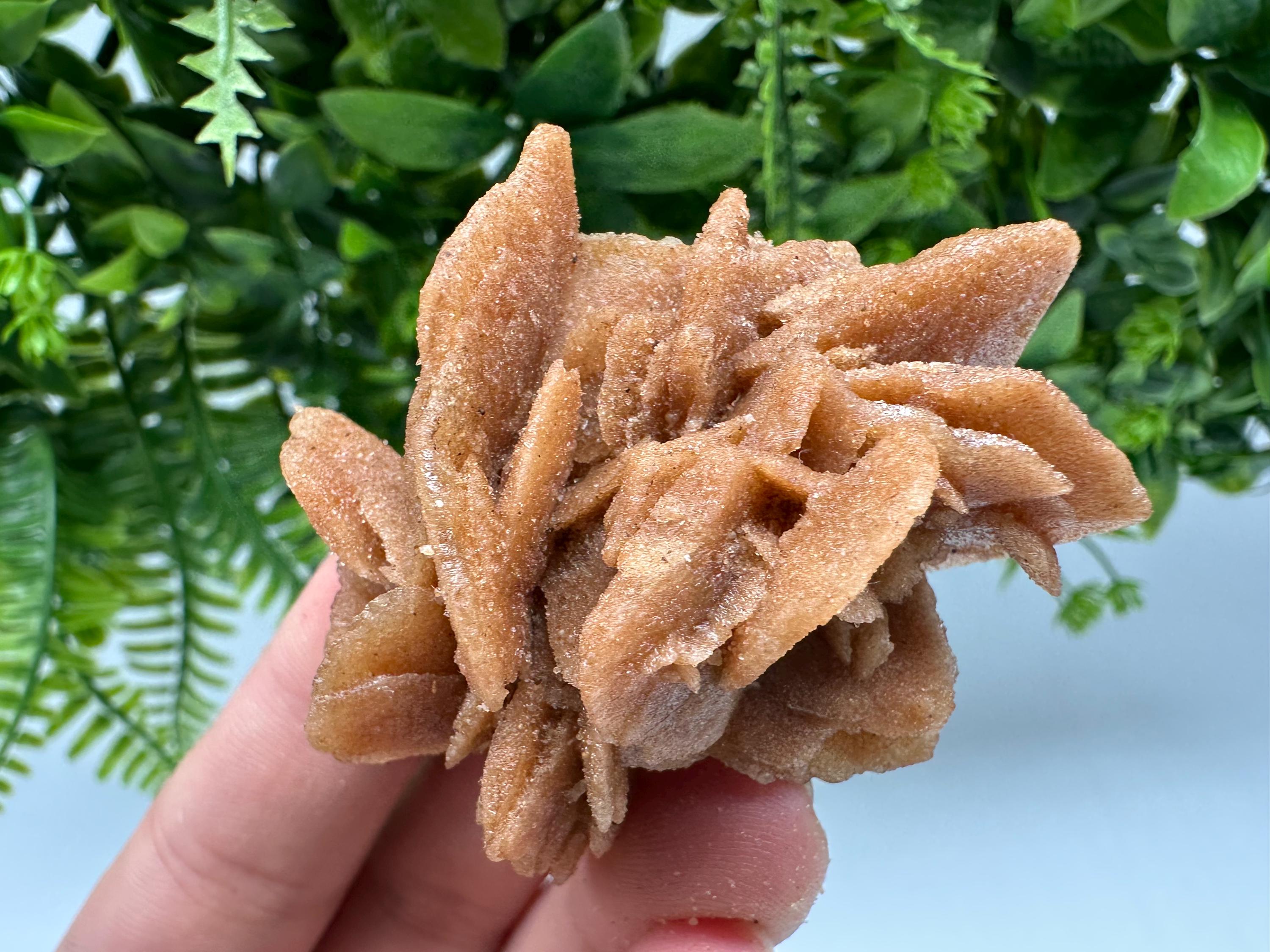 Natural Desert Rose Crystal – Root Chakra Healing Brown Selenite Stone