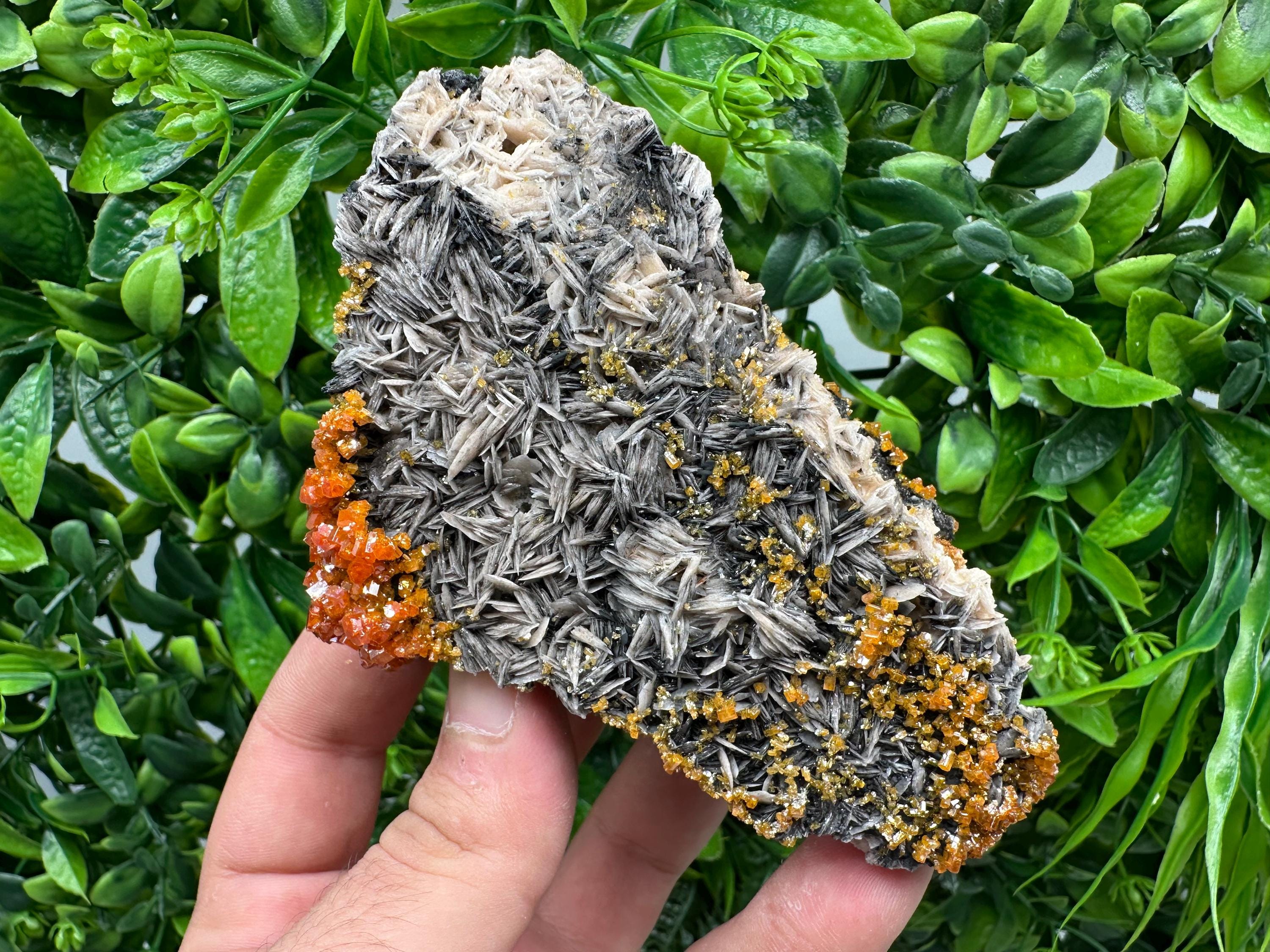 Red Vanadinite Crystal Cluster on Barite with Goethite, Morocco