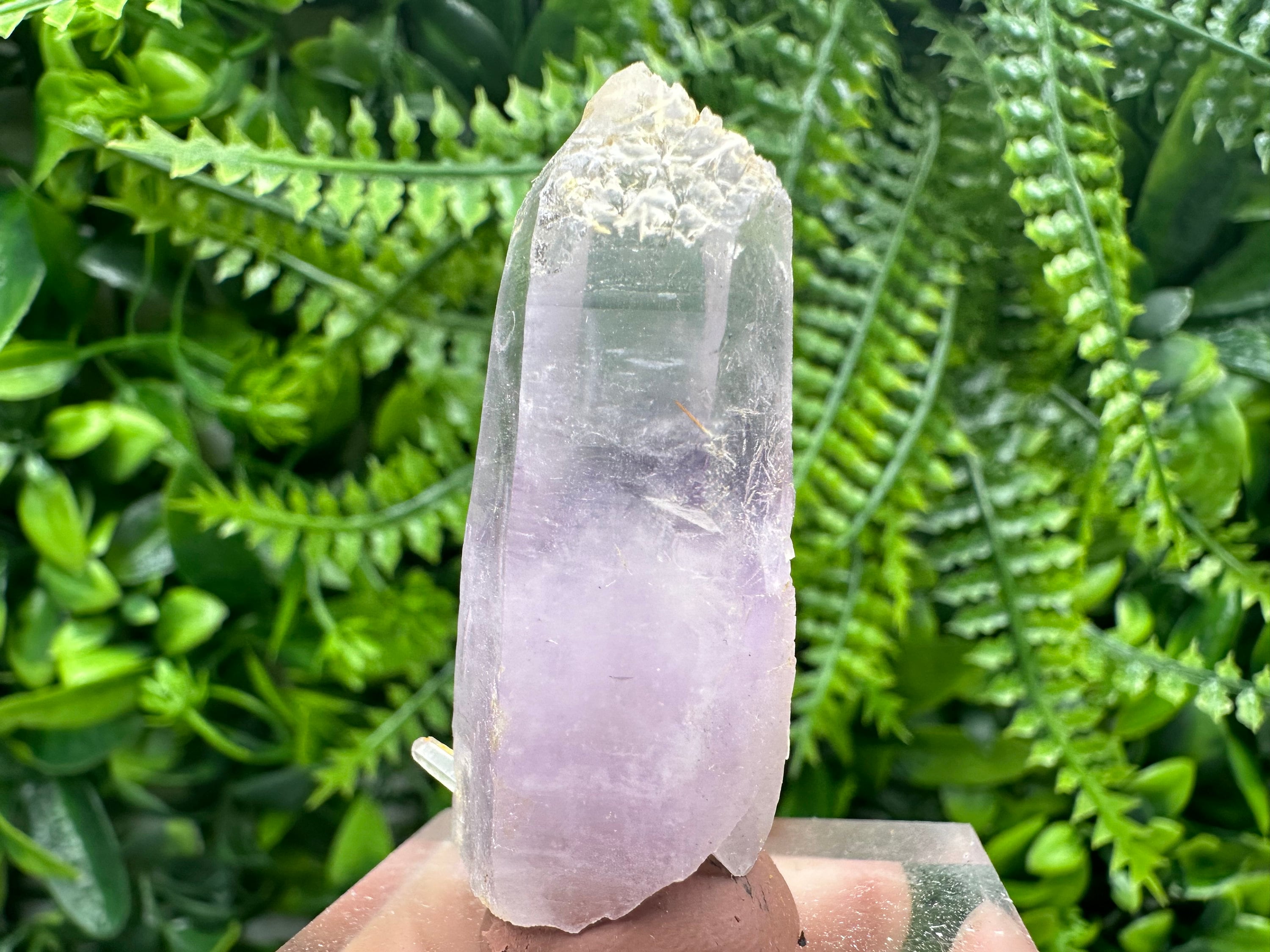 Phantom Amethyst Crystal with Cerussite, Bulgarian Mineral Specimen (4.5cm)