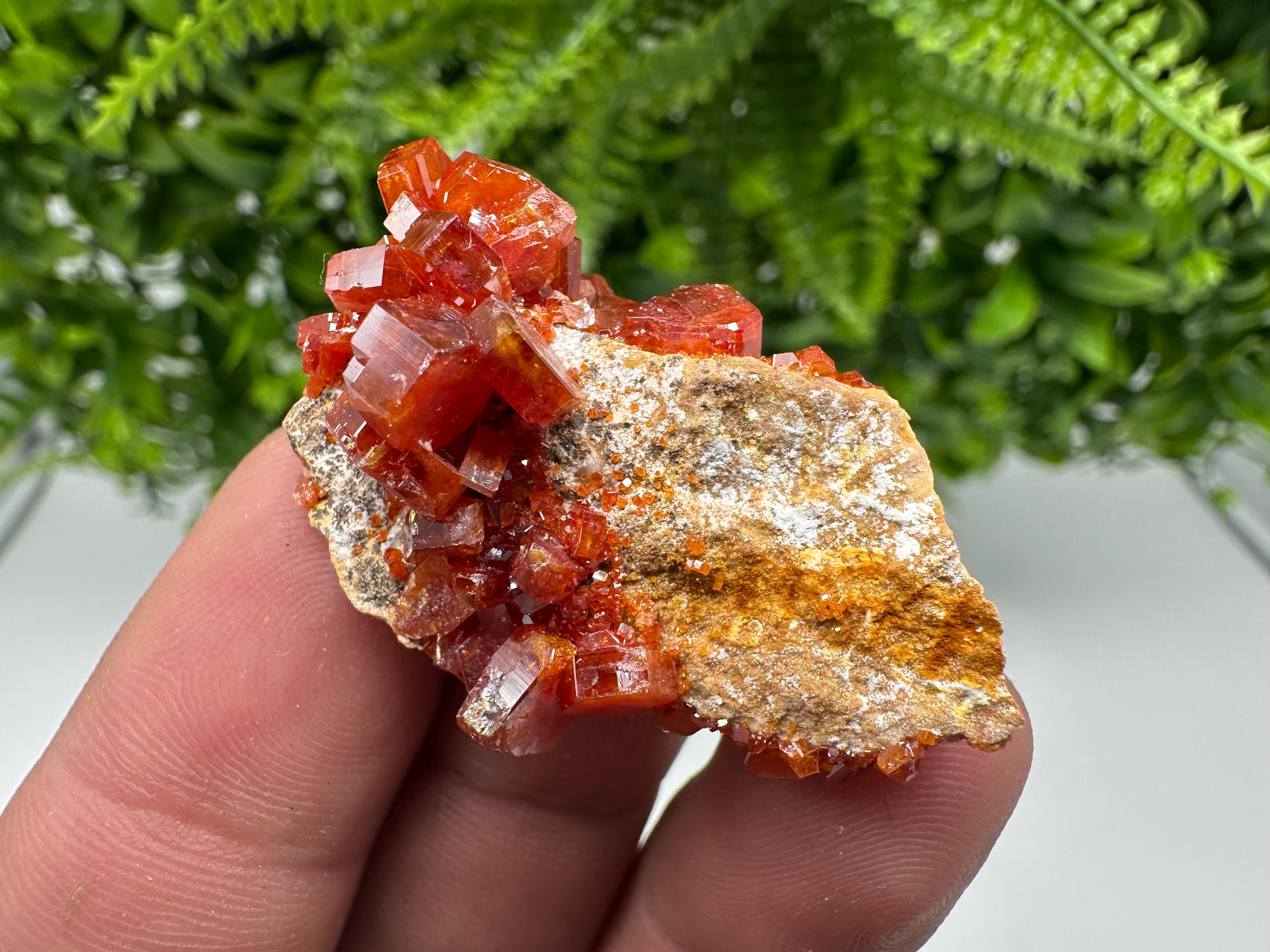Red Vanadinite on Barite from Marocco,crystal minerals Speciment cluster Vanadinite crystal Vanadinite Geology Vanadinite cluster minerals
