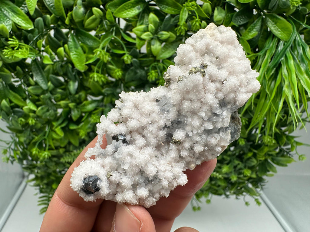 Chalcopyrite on Quartz Specimen: Krushev dol Mine, Bulgaria