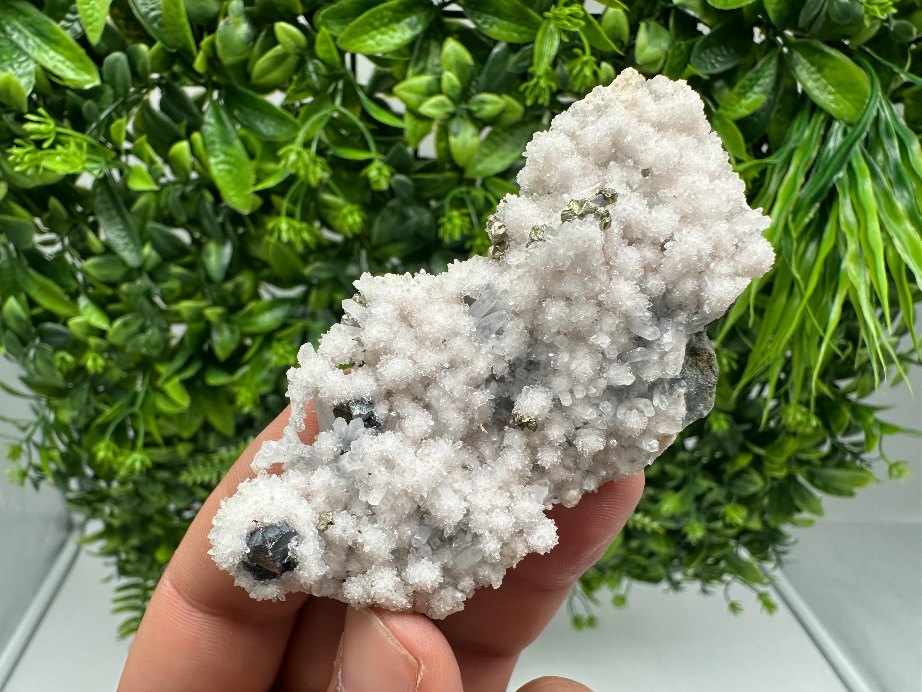 Chalcopyrite on Quartz Specimen: Krushev dol Mine, Bulgaria