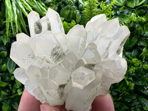 Chlorite Quartz Crystal Cluster: Borieva Mine, Bulgaria