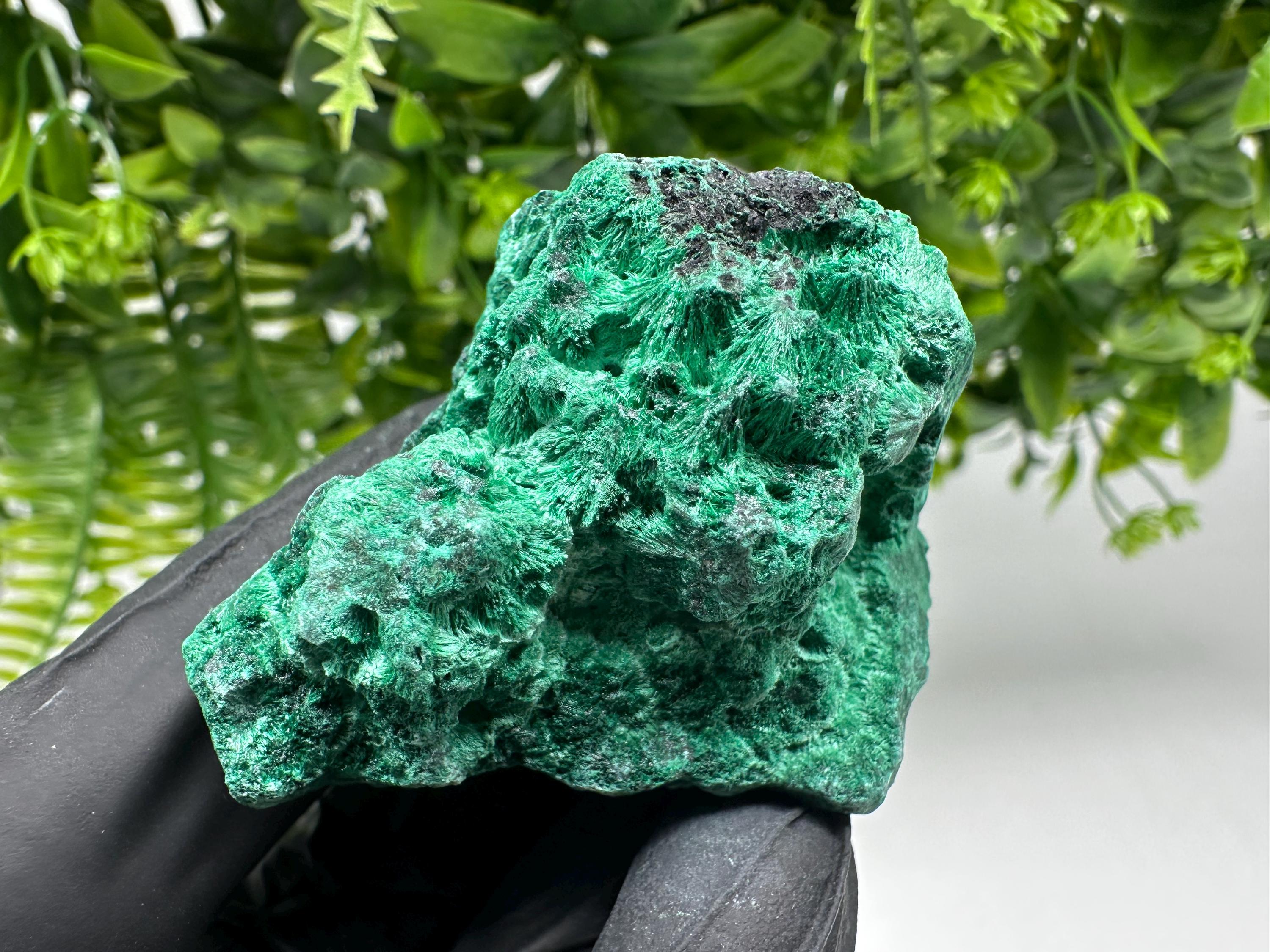 Malachite Crystal from Congo,Minerals,Crystals from Congo,Green Malachite, Malachite,Natural Malachite,Malachite Stone,Chakra, Specimens