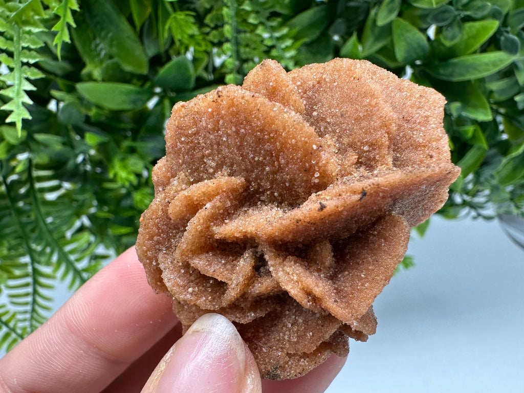 Natural Desert Rose Crystal - Root Chakra Healing Selenite