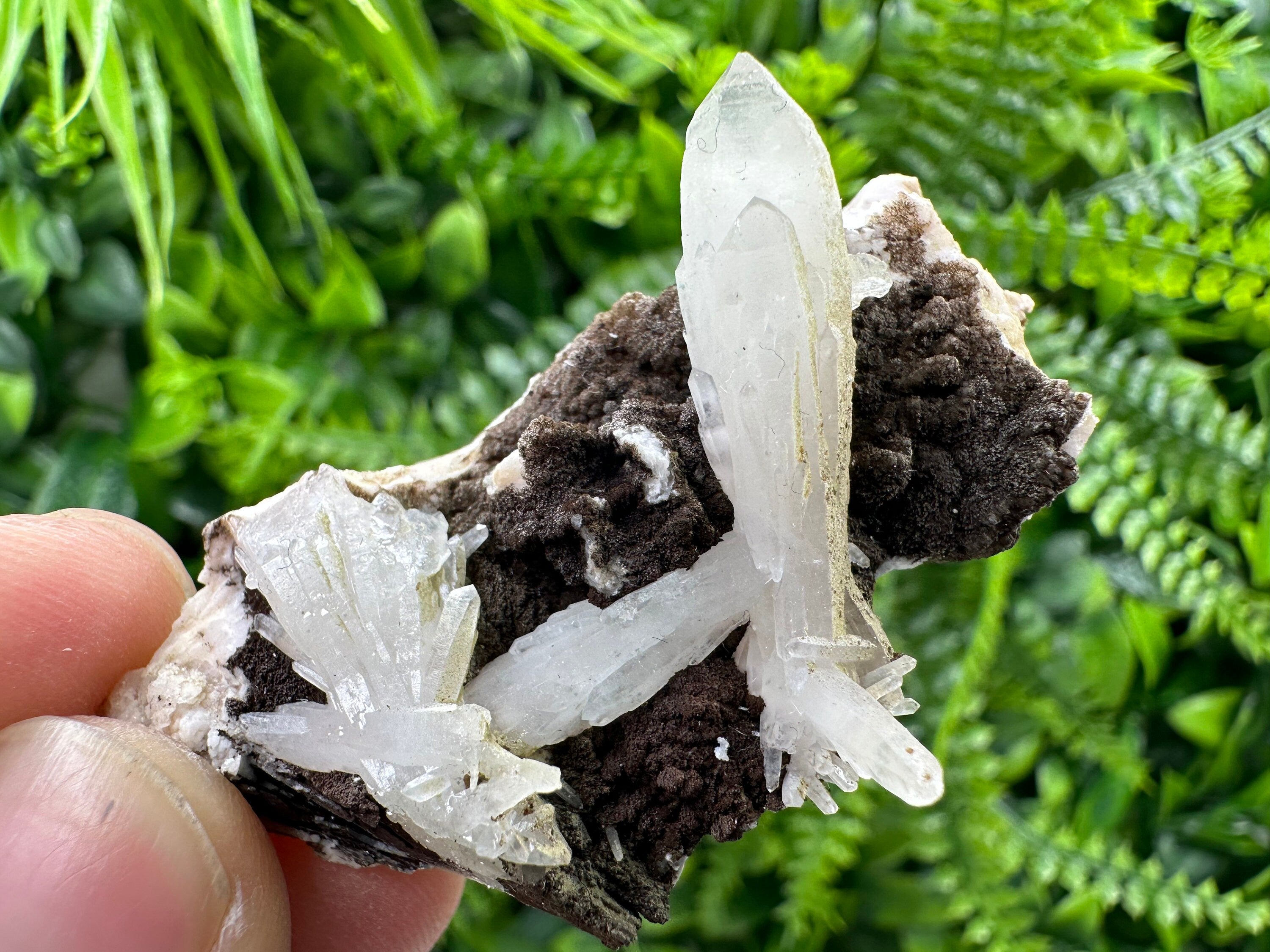 Quartz with Chlorite on Rhodochrosite and Siderite