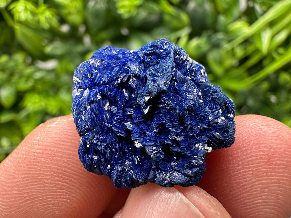 Crystallized Azurite-Kerrouchen,Morocco-Blue Azurite Specimen-High Quality Blue Azurite-Azurite Mineral Specimen, gemmy,lustrous of Azurite