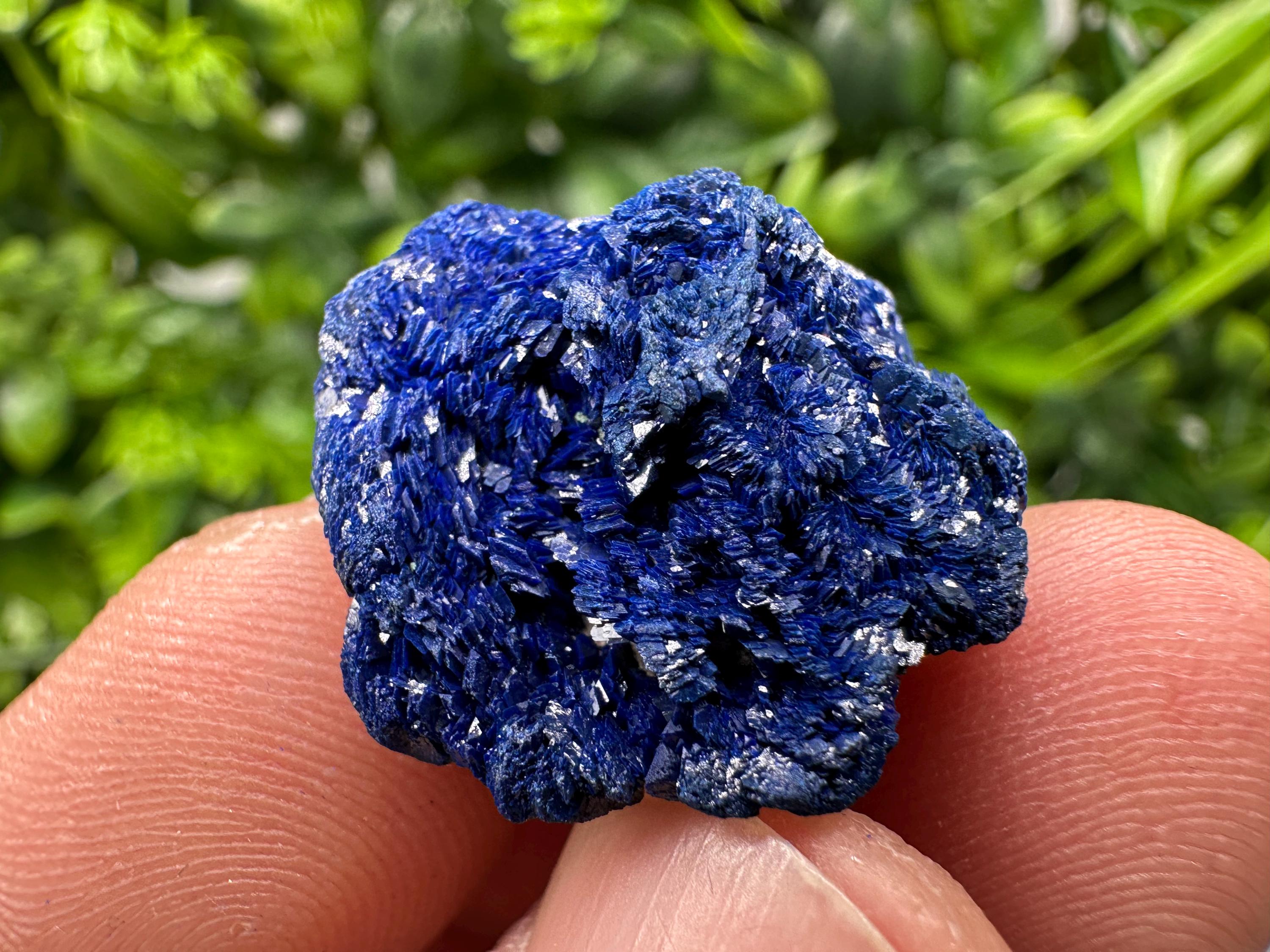 Crystallized Azurite-Kerrouchen,Morocco-Blue Azurite Specimen-High Quality Blue Azurite-Azurite Mineral Specimen, gemmy,lustrous of Azurite