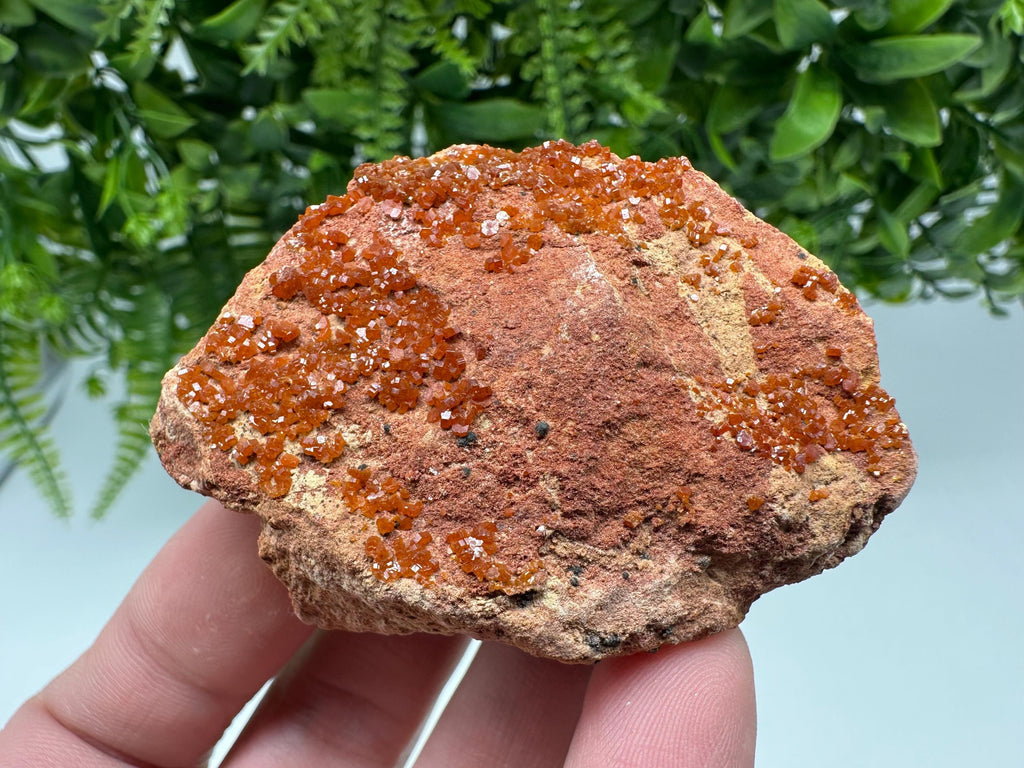 Red Vanadinite on Matrix from Marocco,crystal minerals Speciment cluster Vanadinite crystal Vanadinite Geology Vanadinite cluster minerals