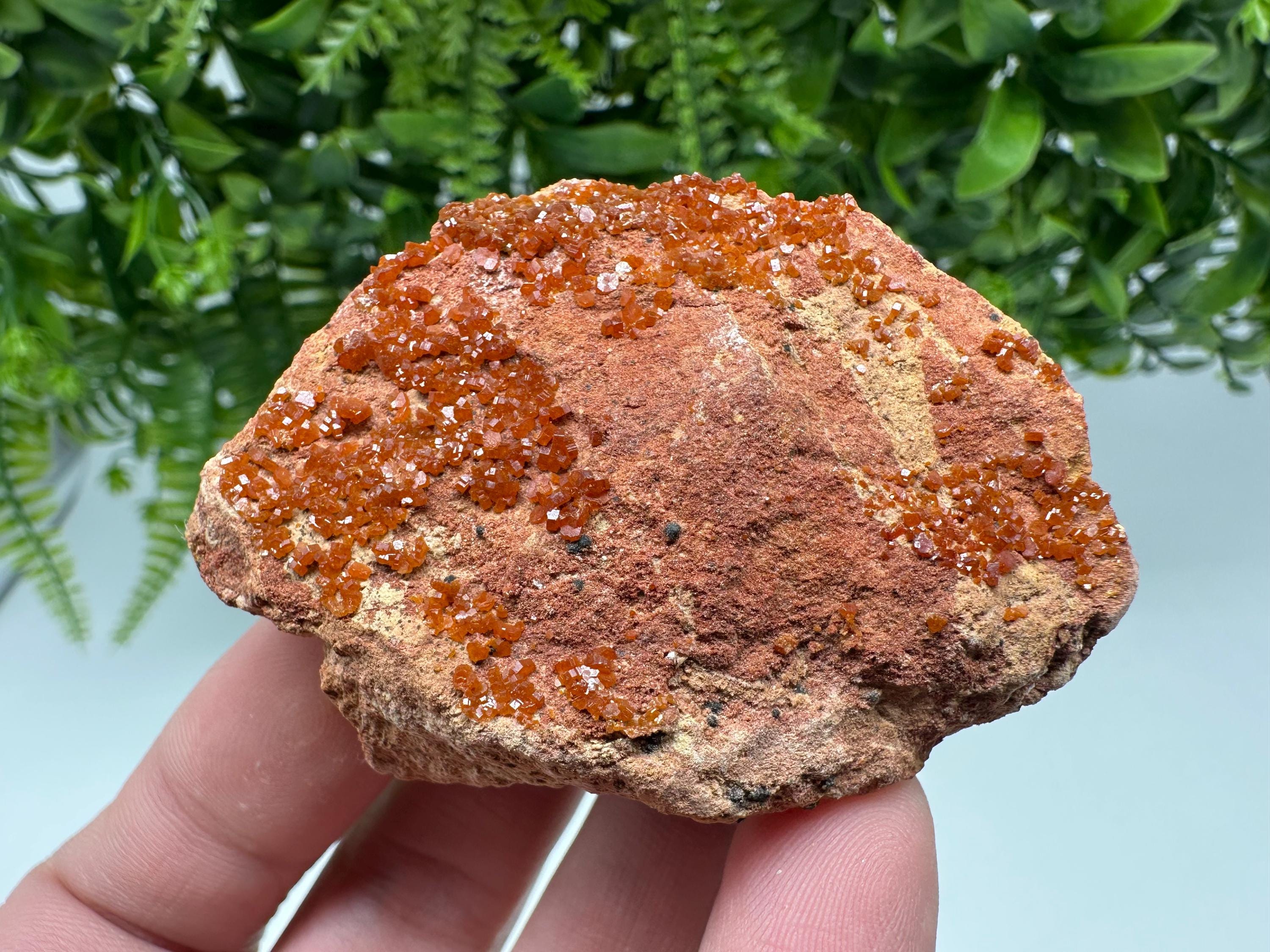 Red Vanadinite on Matrix from Marocco,crystal minerals Speciment cluster Vanadinite crystal Vanadinite Geology Vanadinite cluster minerals
