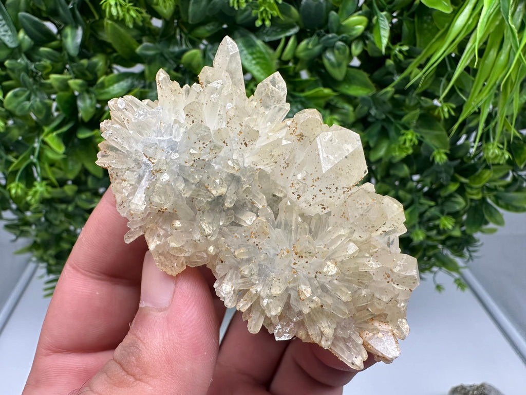 Quartz whit Brown Rhodochrosite from Djurcovo mine,Bulgaria,Quartz,Rhodochrosite cluster,natural mineral,collection crystal,mineral specimen