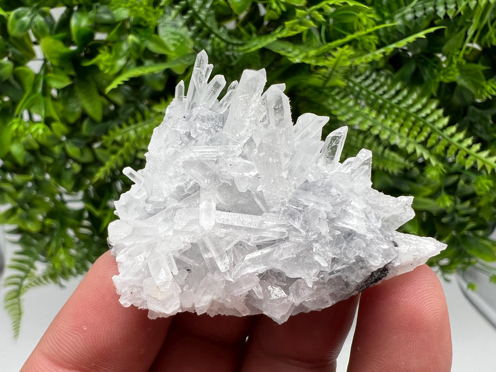 Borieva Mine Transparent Quartz Cluster, Natural Crystal Specimen