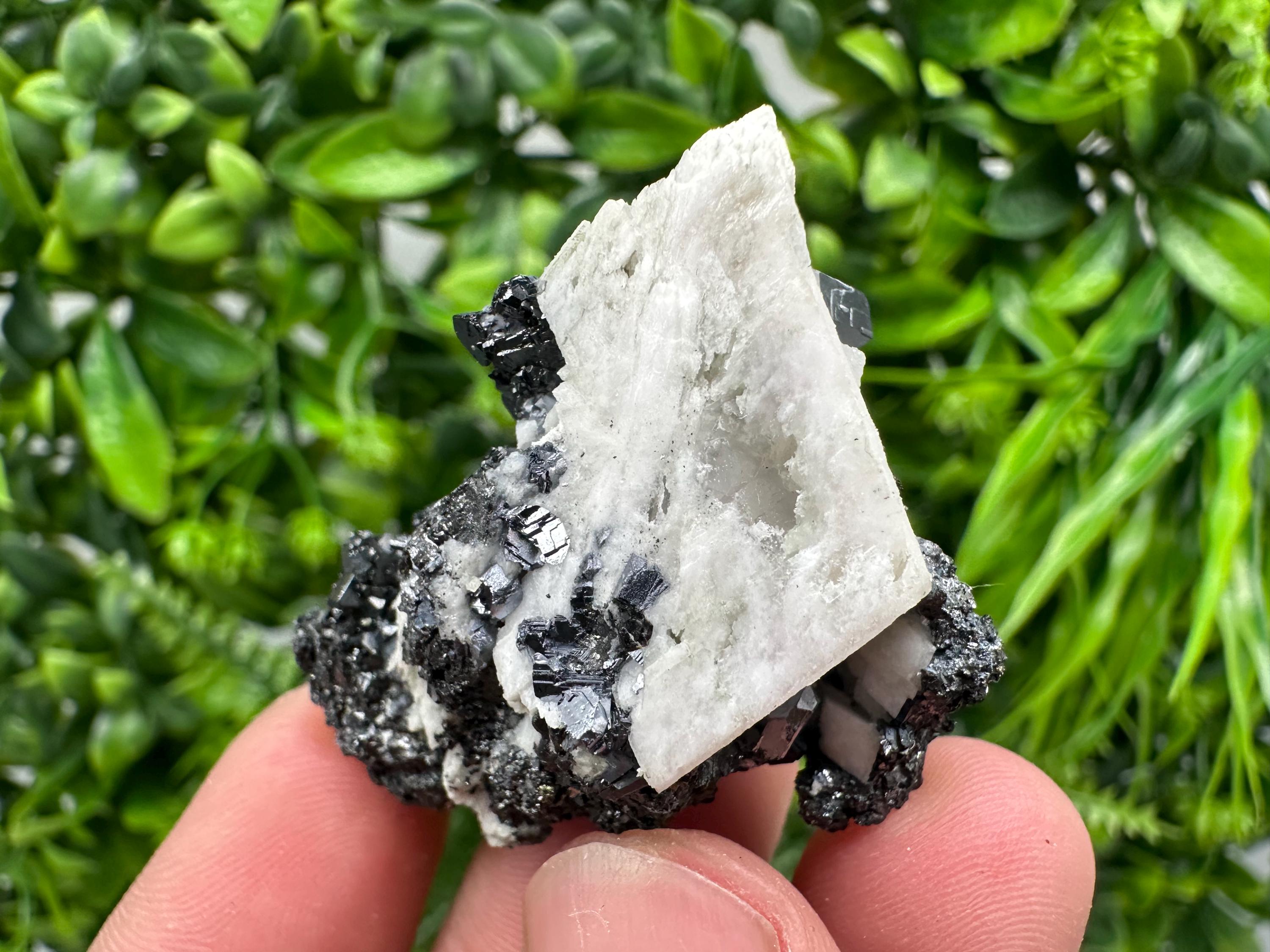 Galena Sphalerite Mineral Specimen, Madan Bulgaria
