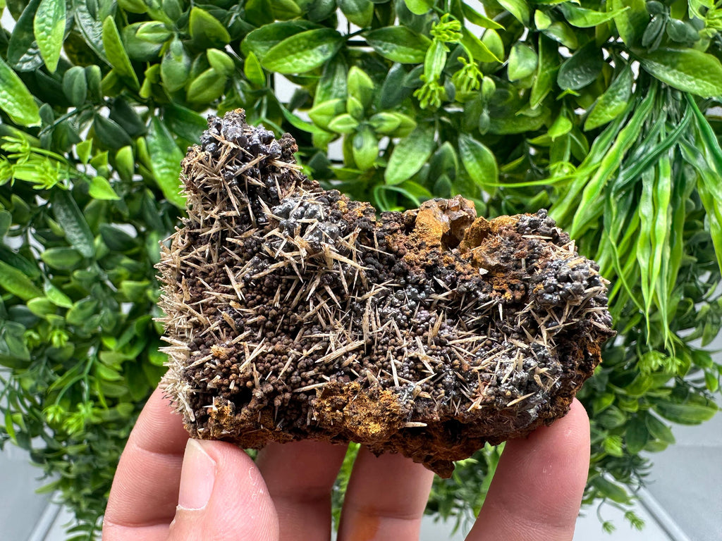 Rare Green/Yellow Pyromorphite and Hematite on Quartz, Bulgaria Mineral