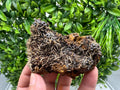 Rare Green/Yellow Pyromorphite and Hematite on Quartz, Bulgaria Mineral