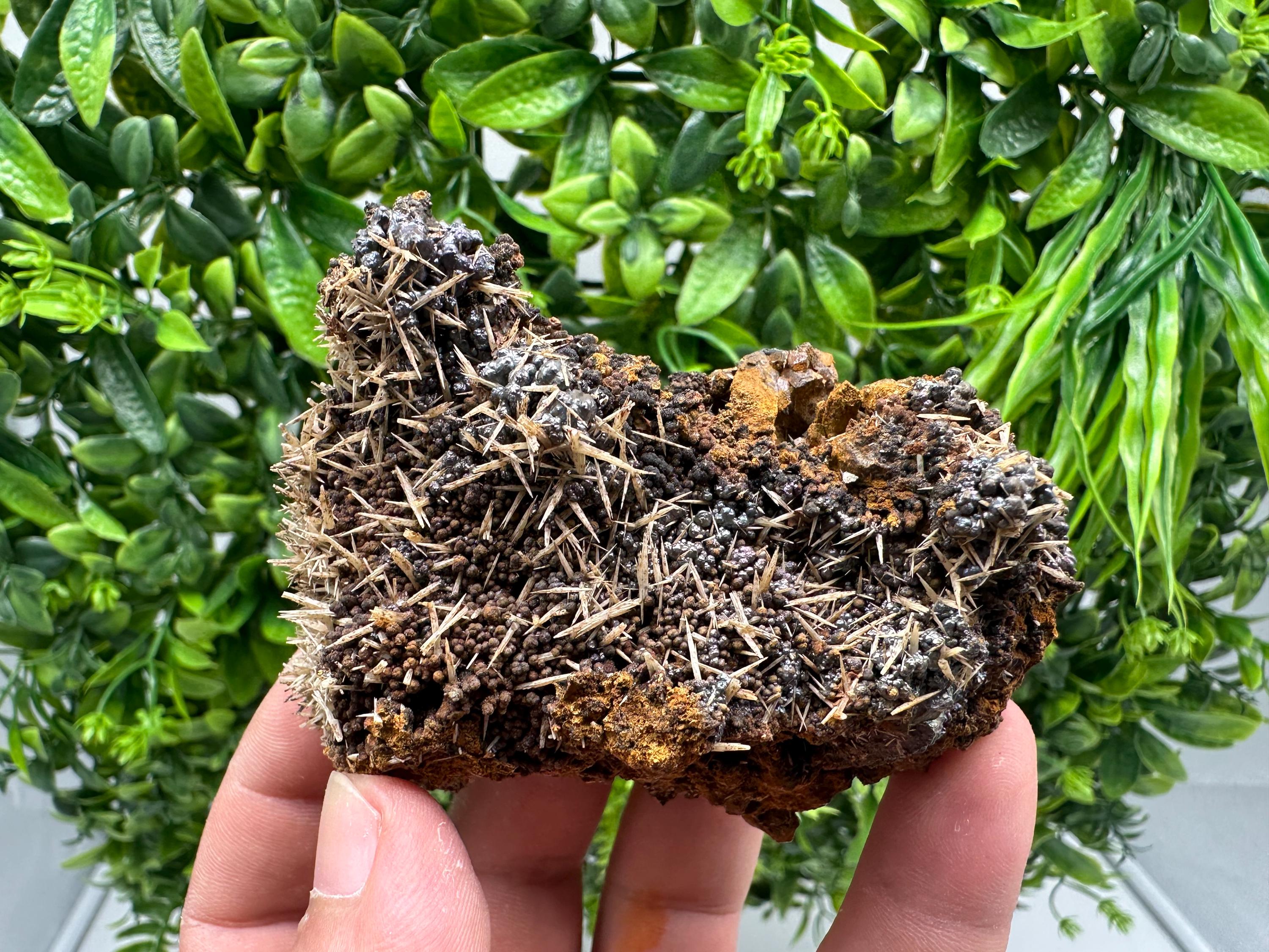 Rare Green/Yellow Pyromorphite and Hematite on Quartz, Bulgaria Mineral