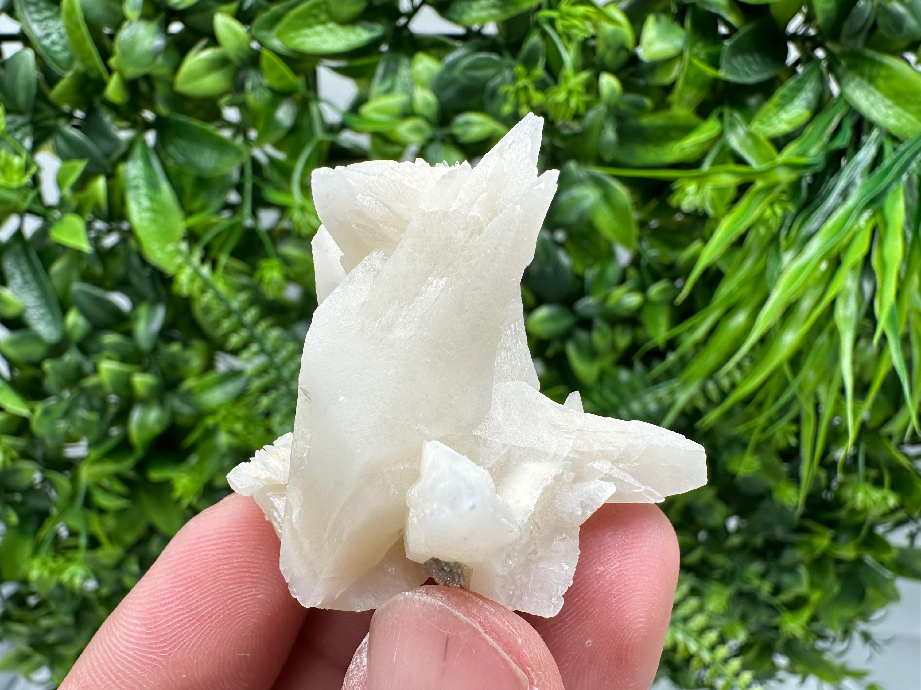 Calcite on Aragonite: Djurcovo Mine, Bulgaria Crystal