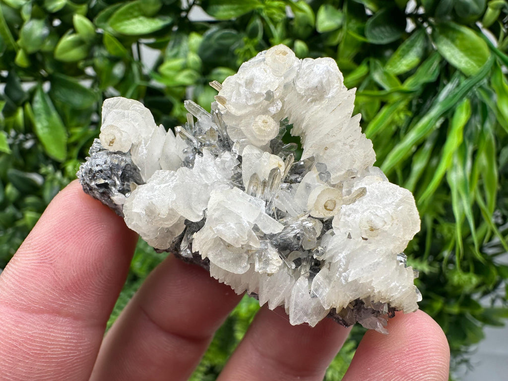 Quartz with Calcite and Chlorite: Borieva Mine Crystal Souvenir
