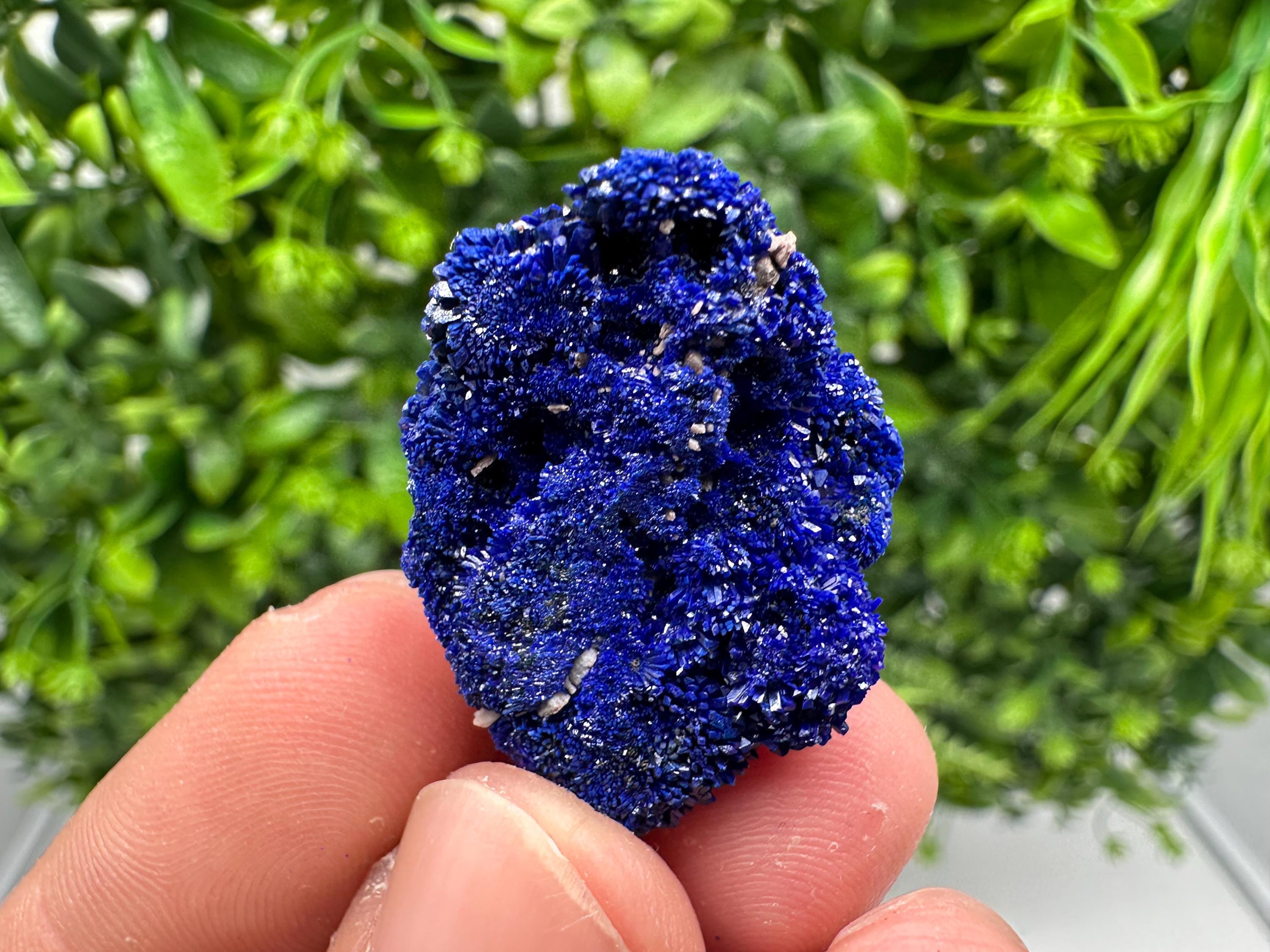 Crystallized Azurite-Kerrouchen,Morocco-Blue Azurite Specimen-High Quality Blue Azurite-Azurite Mineral Specimen, gemmy,lustrous of Azurite