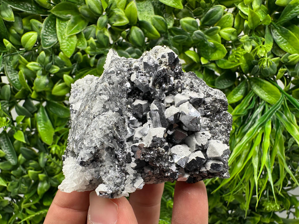 Skeletal Galena Mineral Specimen, Drujba Mine Bulgaria