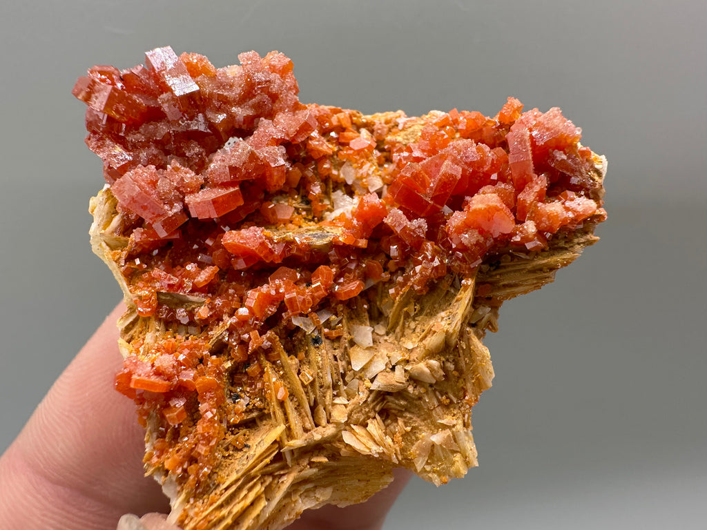 Red Vanadinite Crystal Cluster on Matrix, Morocco Mineral Specimen