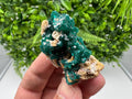 Stunning Green Dioptase from Sanda Hills,Mindouli,Pool Department,Mindouli District,Congo,green Dioptase,Dioptas Crystal,Dioptase collecting