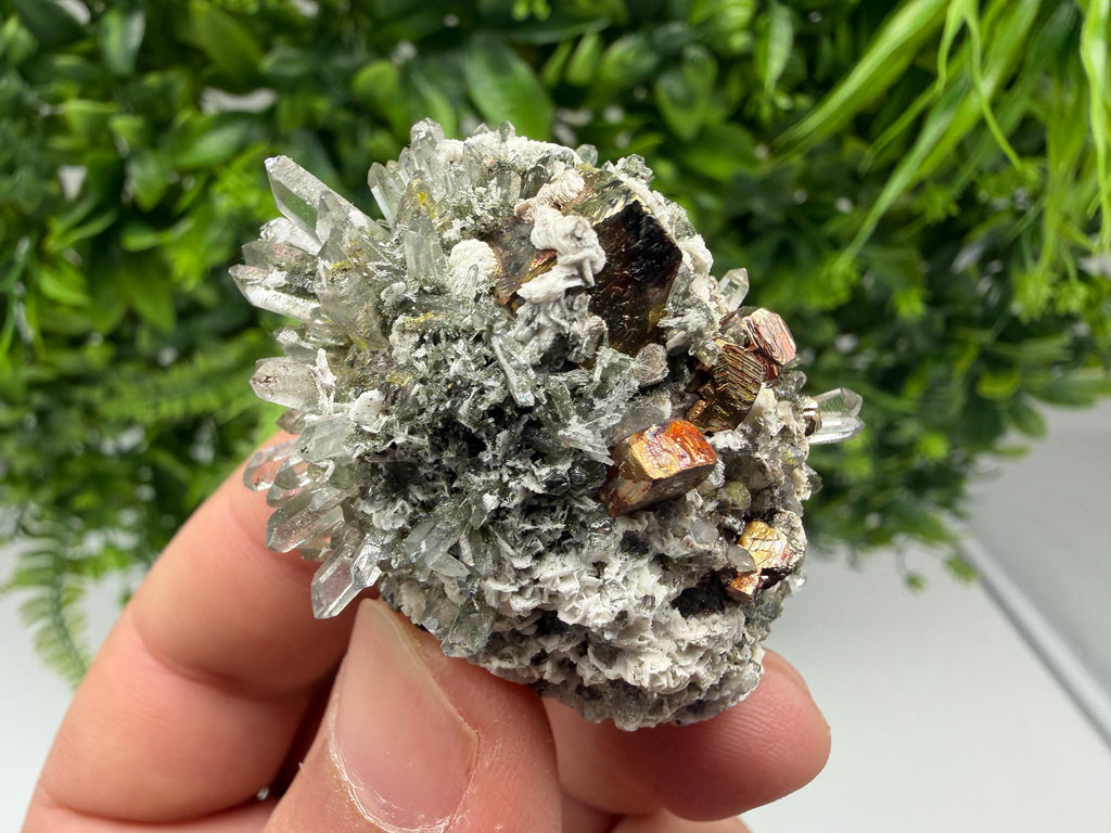 Pyrite Galena on Green Quartz, Chlorite Mineral Specimen, Bulgaria