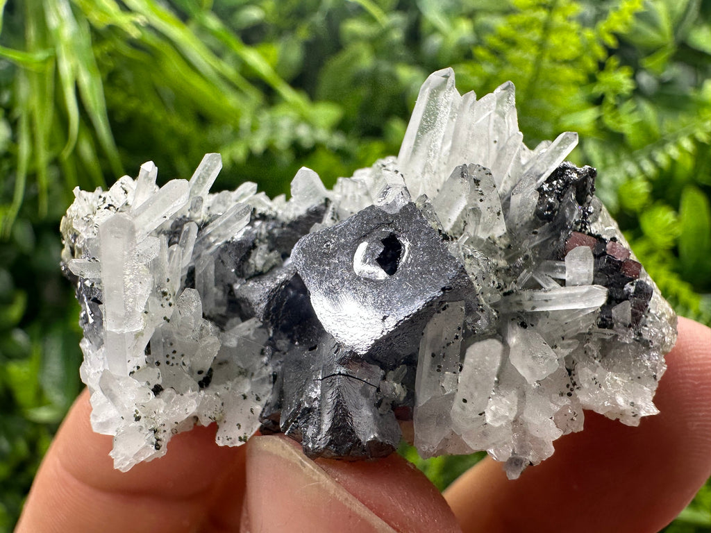 Galena on Quartz Mineral Specimen, Bulgaria Origin