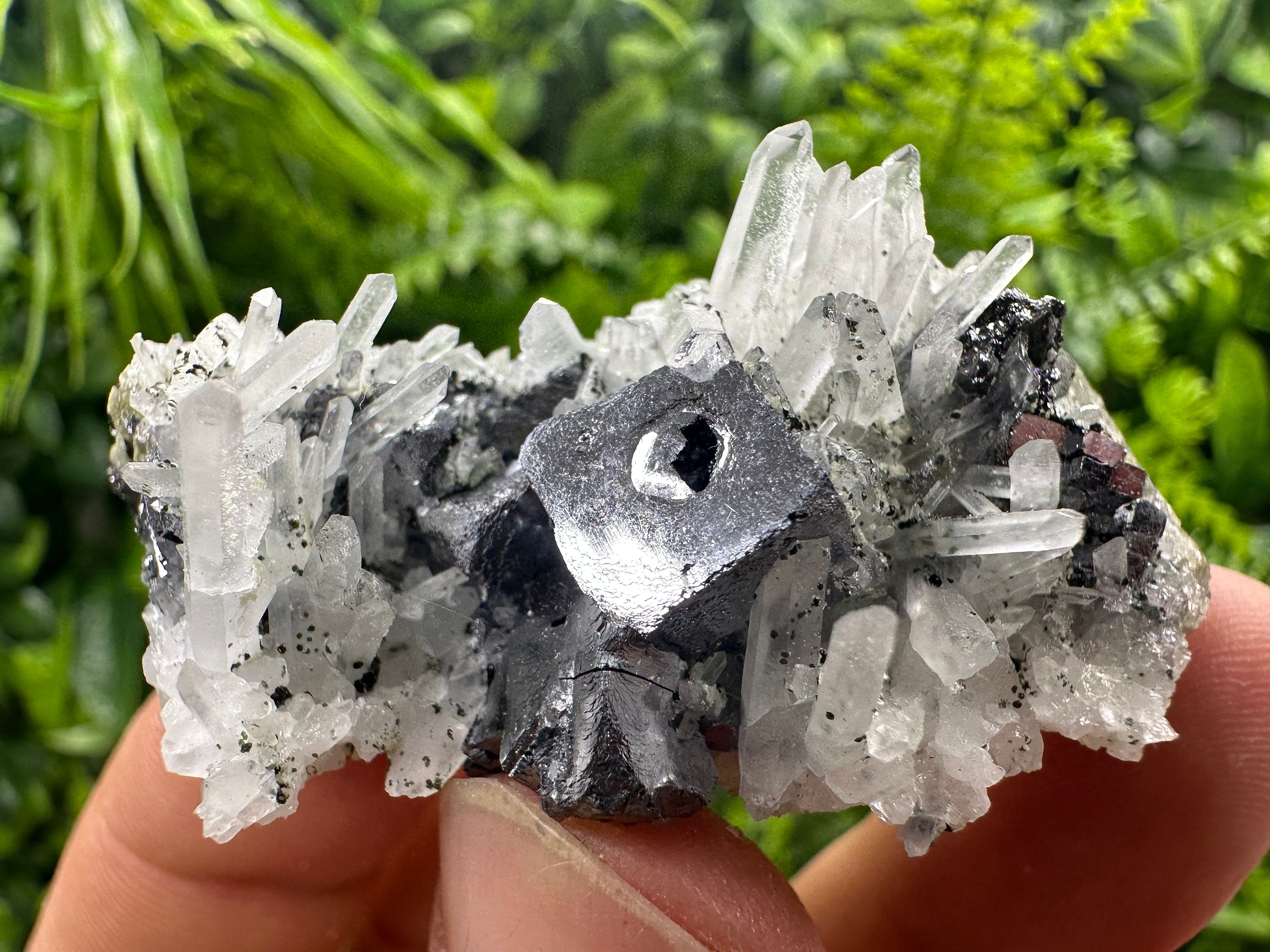 Galena on Quartz Mineral Specimen, Bulgaria Origin