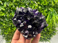Uruguay Amethyst Crystal: Purple Quartz Home Decor, Energy Stone