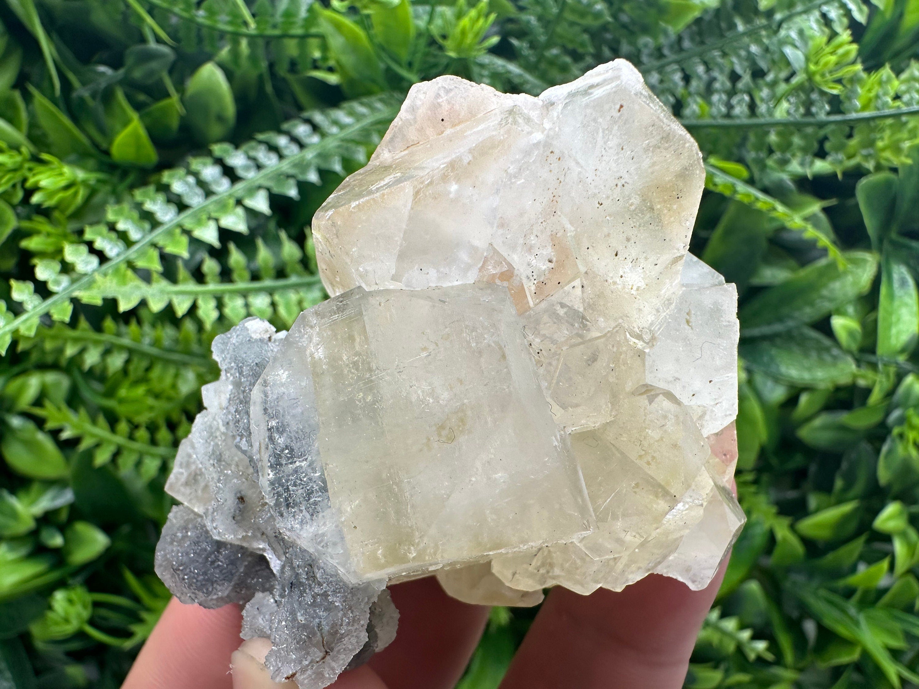 Apophyllite Stilbite on Chalcedony, India Mineral Specimen